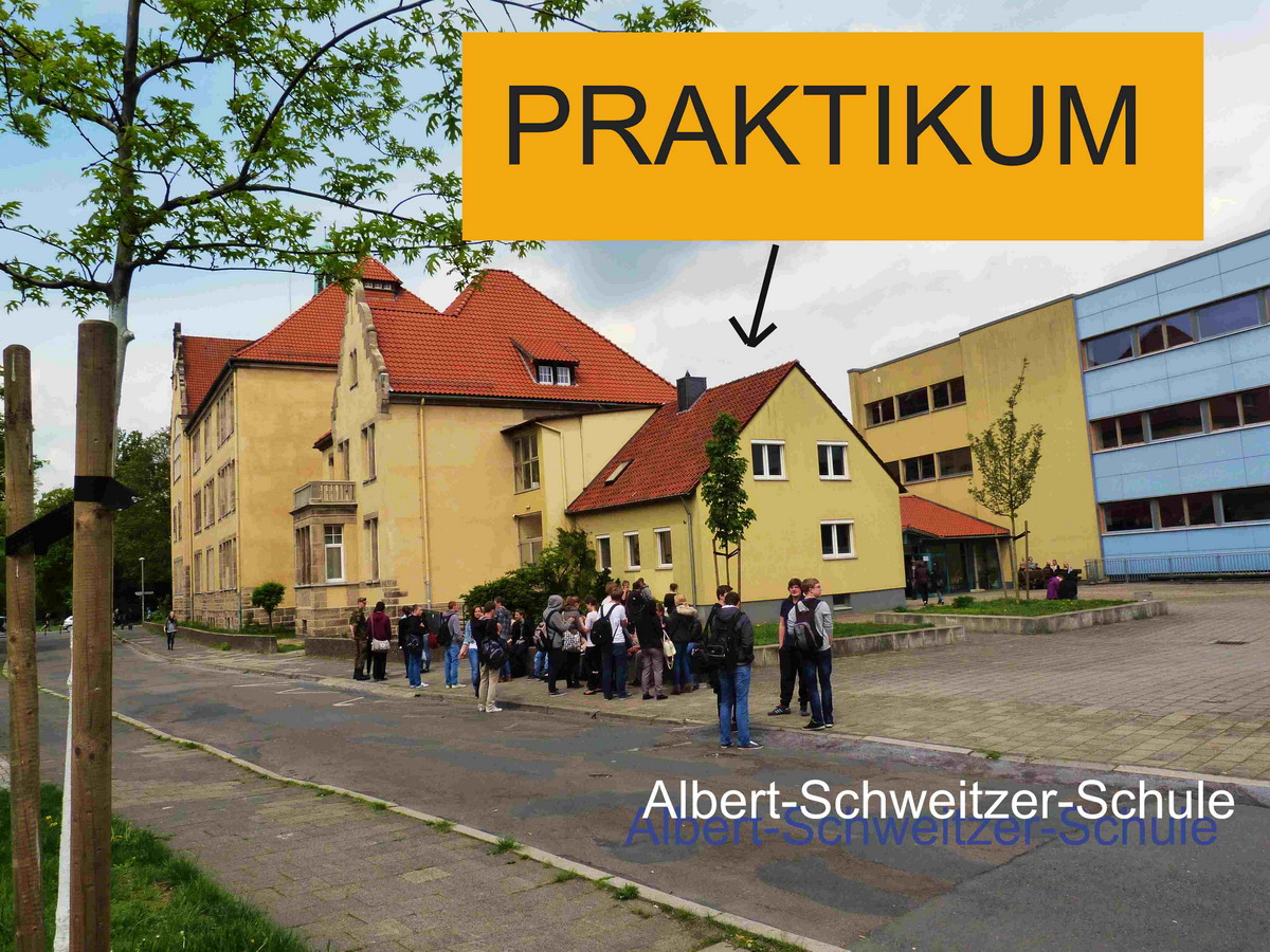 Zehntklässler präsentieren Praktikumsprojekte